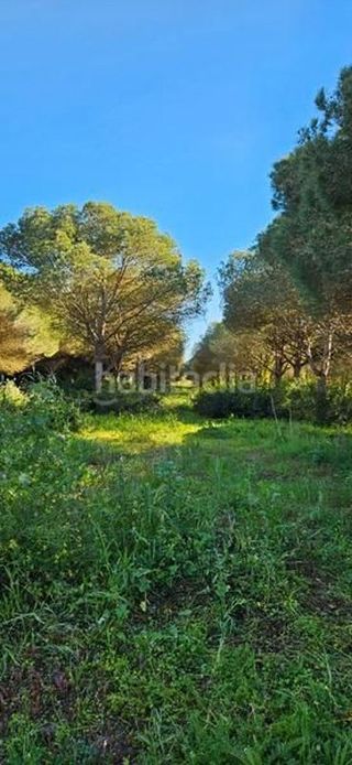 Terreno en venta en Las Lagunas - Campano en Chiclana de la Frontera