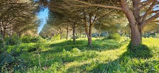 Terreno en venta en Las Lagunas - Campano en Chiclana de la Frontera