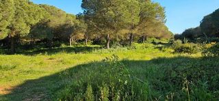 Terreno en venta en Las Lagunas - Campano en Chiclana de la Frontera