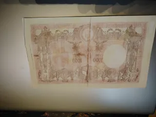 Grande Lira 1000 - Copia