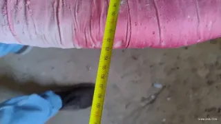 Sofá isabelino caoba antiguo