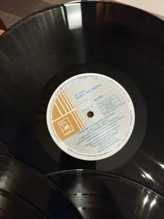 Lote de 19 vinilos variados