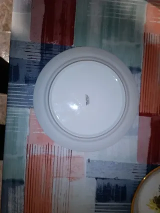 Antichi piatti con design coniglio