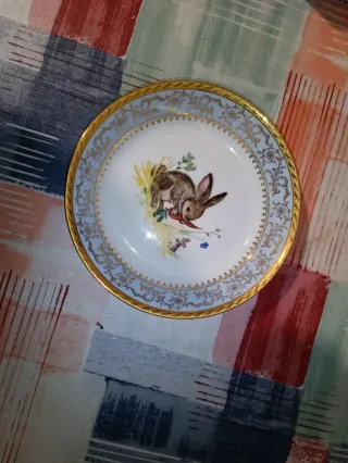 Antichi piatti con design coniglio