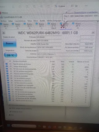 Disco Duro Western Digital Purple 6TB