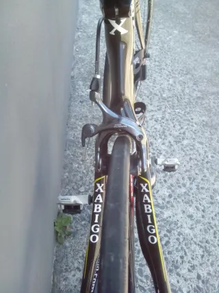 Bicicleta carbono Xabigo