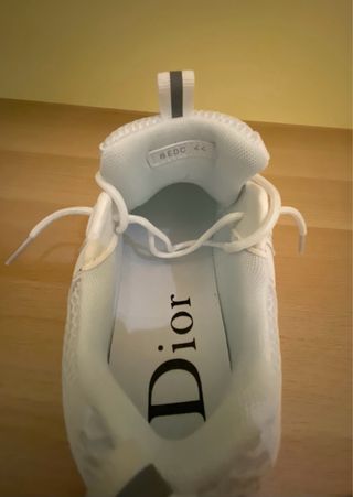 Dior B22