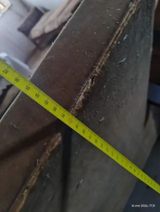 Pareja de sillones de madera y terciopelo