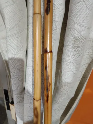 Bastones de junco con taco de goma