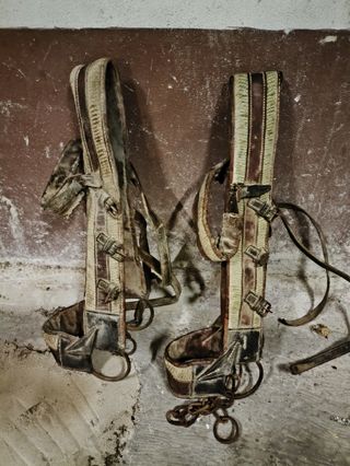 Arreos mulas vintage