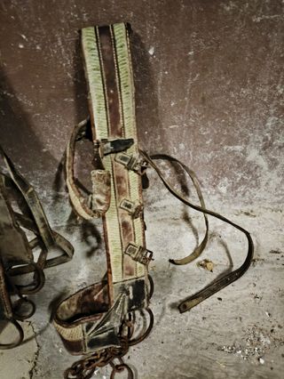 Arreos mulas vintage