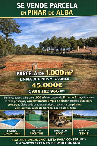 Parcela en el pinar de alba