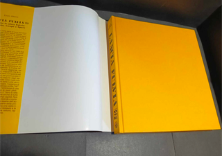 Libro Lancia Fulvia HF tutte le altre Giorgio Nada