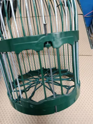 Jaula de perdiz verde y plateada