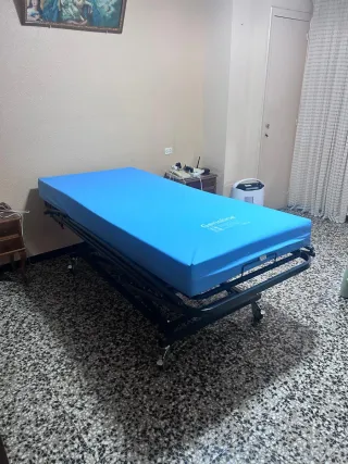 Cama articulada con carro elevador