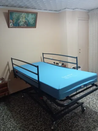 Cama articulada con carro elevador