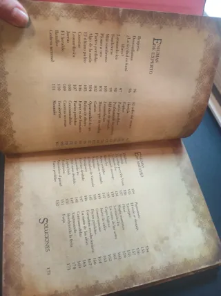 El libro de los enigmas de Leonardo da Vinci