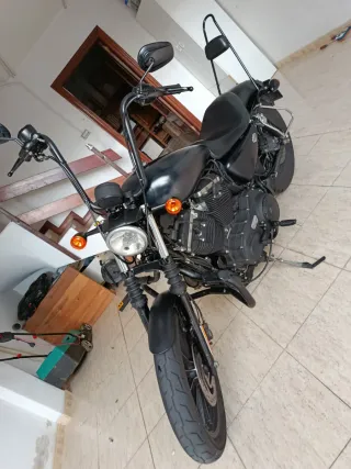 Harley Davidson Sportster 883 Iron