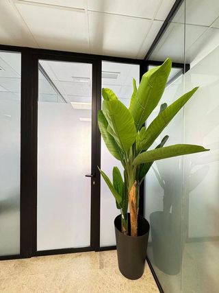 Oficina en alquiler en Ciutat de les Arts i les Ciències en Valencia