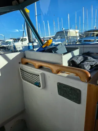 Barco recreo Volvo Penta 4.3 GXI 225CV (2007)