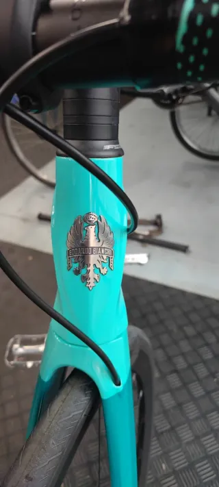 Bicicleta Bianchi Carbono Carretera