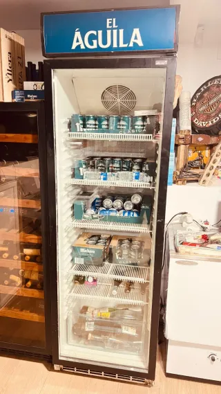 Lote 2 Neveras 1 Puerta