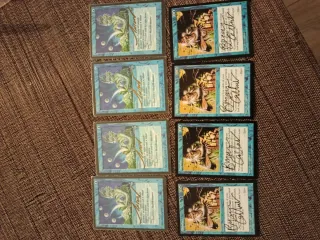 Lot de carte Magic The Gathering firmate