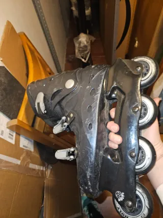 Patines en línea negros y azul marino