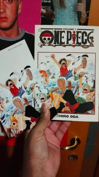 One Piece, Vol. 37 Tom