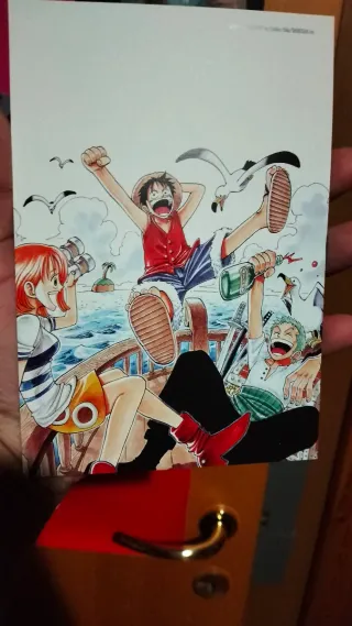 One Piece, Vol. 37 Tom