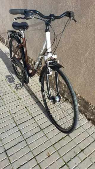 Bicicleta de paseo