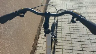 Bicicleta de paseo