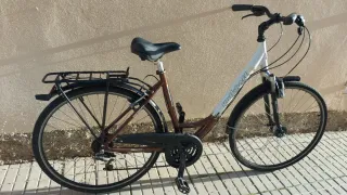 Bicicleta de paseo
