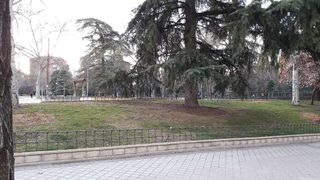 Piso en alquiler en Ciudad Jardín en Madrid