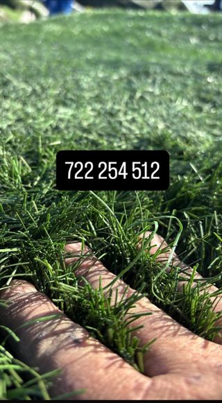 Césped Artificial Reciclado