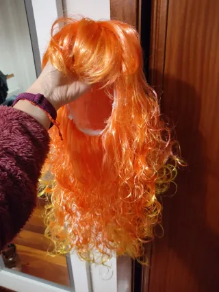 Complementos Disfraz Abeja