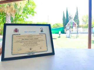 SERVICIO DE ENTRENAMIENTO ONLINE