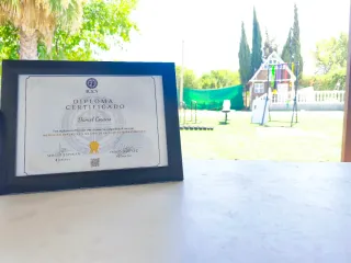 SERVICIO DE ENTRENAMIENTO ONLINE