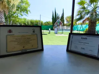 SERVICIO DE ENTRENAMIENTO ONLINE