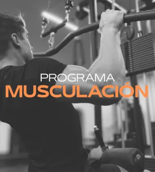 SERVICIO DE ENTRENAMIENTO ONLINE