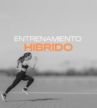 SERVICIO DE ENTRENAMIENTO ONLINE