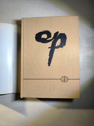 Pepa Niebla (Spanish Edition)