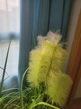 Hierba de las Pampas Artificial Verde y Blanca