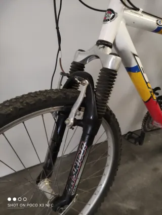 Bicicleta de Montaña
