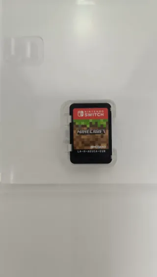 Minecraft per Nintendo Switch