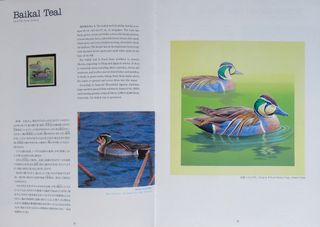 JAPÓN SELLOS 1993 BIRDS AT THE WATER ́S EDGE 16u.