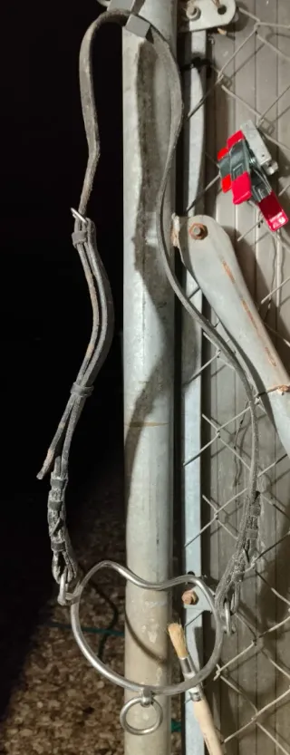 Correas de cuero para caballos