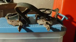 Correas de cuero para caballos