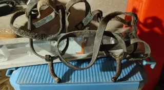 Correas de cuero para caballos