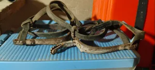 Correas de cuero para caballos